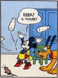 . | image tagged in eeek a mouse | made w/ Imgflip meme maker
