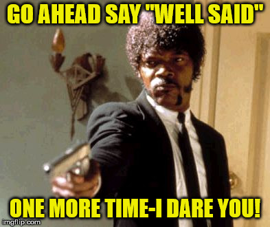 Say That Again I Dare You | GO AHEAD SAY "WELL SAID"; ONE MORE TIME-I DARE YOU! | image tagged in memes,say that again i dare you | made w/ Imgflip meme maker