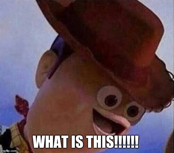 Derp Woody | WHAT IS THIS!!!!!! | image tagged in derp woody | made w/ Imgflip meme maker
