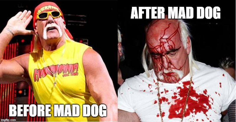 This is what happens... | AFTER MAD DOG; BEFORE MAD DOG | image tagged in hulk hogan,mad dog | made w/ Imgflip meme maker