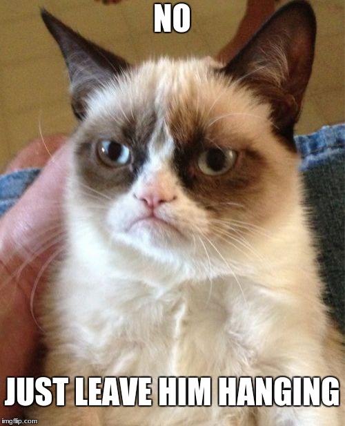 Grumpy Cat Meme | NO JUST LEAVE HIM HANGING | image tagged in memes,grumpy cat | made w/ Imgflip meme maker