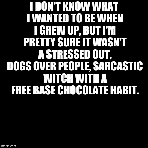 Black Box | I DON'T KNOW WHAT I WANTED TO BE WHEN I GREW UP, BUT I'M PRETTY SURE IT WASN'T A STRESSED OUT, DOGS OVER PEOPLE, SARCASTIC WITCH WITH A FREE BASE CHOCOLATE HABIT. | image tagged in black box | made w/ Imgflip meme maker