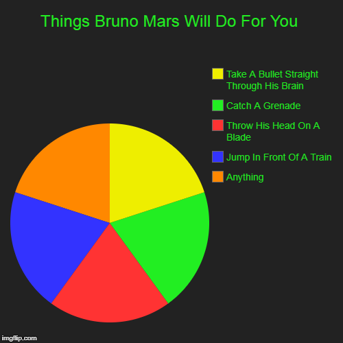 Or, The Short Story, He Would Die For You | Things Bruno Mars Will Do For You | Anything, Jump In Front Of A Train, Throw His Head On A Blade, Catch A Grenade , Take A Bullet Straight  | image tagged in funny,pie charts | made w/ Imgflip chart maker