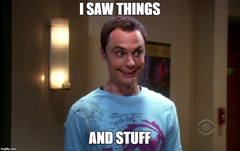 sheldon | I SAW THINGS AND STUFF | image tagged in sheldon | made w/ Imgflip meme maker