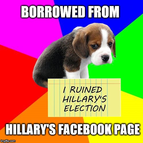 Looks like it was this poor guy's turn on the blame carousel. BAD PUPPY! | BORROWED FROM; I RUINED HILLARY'S ELECTION; HILLARY'S FACEBOOK PAGE | image tagged in memes,puppy,dog,hillary,blame | made w/ Imgflip meme maker