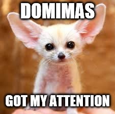 DOMIMAS GOT MY ATTENTION | made w/ Imgflip meme maker