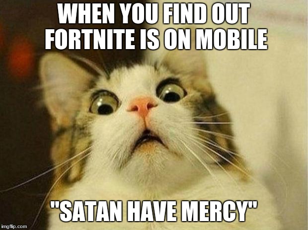 me | WHEN YOU FIND OUT FORTNITE IS ON MOBILE; "SATAN HAVE MERCY" | image tagged in memes,scared cat | made w/ Imgflip meme maker