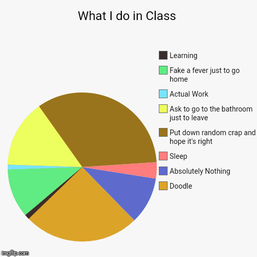 What I do in Class | Doodle , Absolutely Nothing, Sleep, Put down random crap and hope it's right, Ask to go to the bathroom just to leave,  | image tagged in funny,pie charts | made w/ Imgflip chart maker