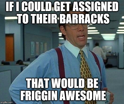 That Would Be Great Meme | IF I COULD GET ASSIGNED TO THEIR BARRACKS THAT WOULD BE FRIGGIN AWESOME | image tagged in memes,that would be great | made w/ Imgflip meme maker