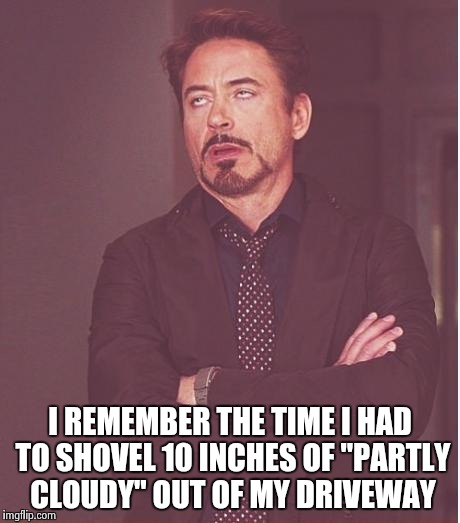 Face You Make Robert Downey Jr Meme | I REMEMBER THE TIME I HAD TO SHOVEL 10 INCHES OF "PARTLY CLOUDY" OUT OF MY DRIVEWAY | image tagged in memes,face you make robert downey jr | made w/ Imgflip meme maker