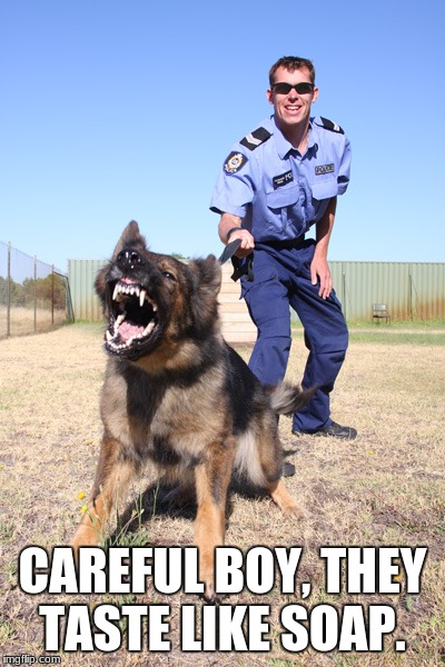 Police dog | CAREFUL BOY, THEY TASTE LIKE SOAP. | image tagged in police dog | made w/ Imgflip meme maker