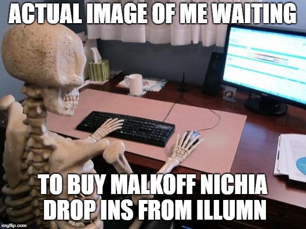 skeleton at computer desk | ACTUAL IMAGE OF ME WAITING; TO BUY MALKOFF NICHIA DROP INS FROM ILLUMN | image tagged in skeleton at computer desk | made w/ Imgflip meme maker