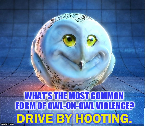 Ask the Wise Old Owl | WHAT'S THE MOST COMMON FORM OF OWL-ON-OWL VIOLENCE? DRIVE BY HOOTING. | image tagged in vince vance,wise old owl,owls,round owl | made w/ Imgflip meme maker
