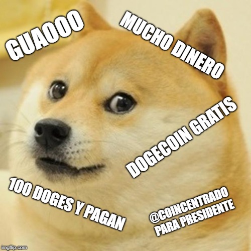 Doge Meme | MUCHO DINERO; GUAOOO; DOGECOIN GRATIS; 100 DOGES Y PAGAN; @COINCENTRADO PARA PRESIDENTE | image tagged in memes,doge | made w/ Imgflip meme maker