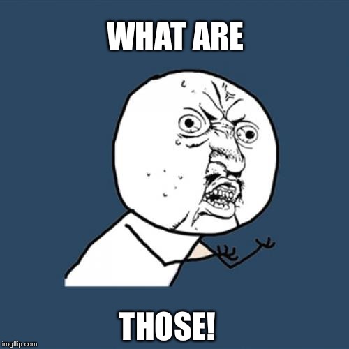 U no
 | WHAT ARE; THOSE! | image tagged in memes,y u no | made w/ Imgflip meme maker