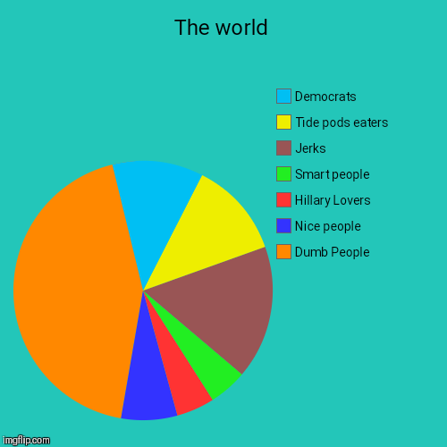 The world | Dumb People, Nice people, Hillary Lovers, Smart people, Jerks, Tide pods eaters, Democrats | image tagged in funny,pie charts | made w/ Imgflip chart maker