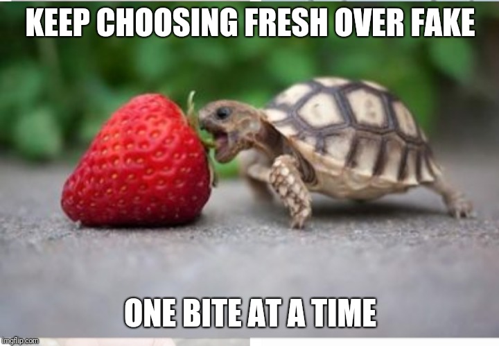 Healthy eating baby turtle
 | KEEP CHOOSING FRESH OVER FAKE; ONE BITE AT A TIME | image tagged in healthy baby turtle,fresh food,nutrition,healthy,nutritious,whole food | made w/ Imgflip meme maker