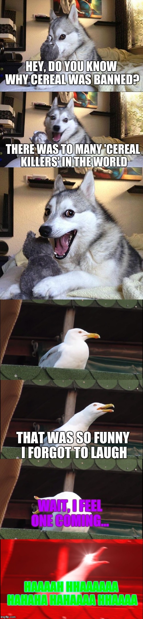 'Cereal' Killers  | HEY, DO YOU KNOW WHY CEREAL WAS BANNED? THERE WAS TO MANY 'CEREAL KILLERS' IN THE WORLD; THAT WAS SO FUNNY I FORGOT TO LAUGH; WAIT, I FEEL ONE COMING... HAAAAH HHAAAAAA HAHAHA HAHAAAA HHAAAA | image tagged in memes,funny,bad pun dog,inhaling seagull | made w/ Imgflip meme maker