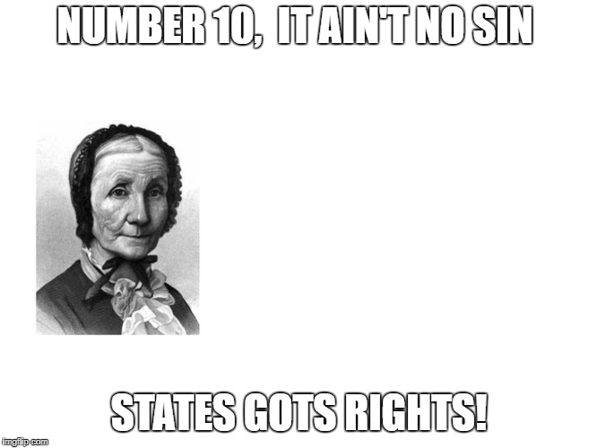 10th Amendment | NUMBER 10,  IT AIN'T NO SIN; STATES GOTS RIGHTS! | image tagged in united states | made w/ Imgflip meme maker