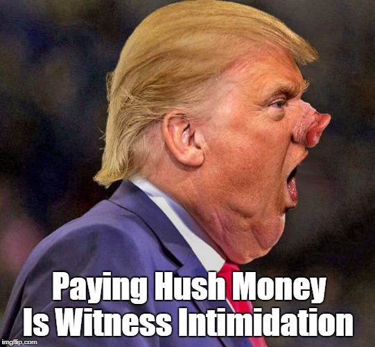 Paying Hush Money Is Witness Intimidation | made w/ Imgflip meme maker