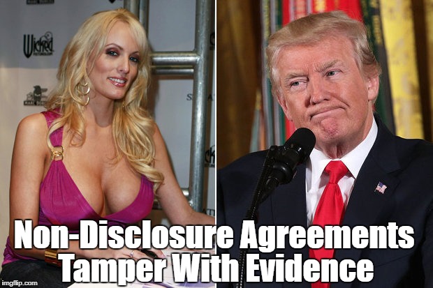 "Non-Disclosure Agreements Tamper With Evidence" | Non-Disclosure Agreements Tamper With Evidence | image tagged in devious donald,deplorable donald,despicable donald,detestable donald,dishonorable donald,dishonest donald | made w/ Imgflip meme maker