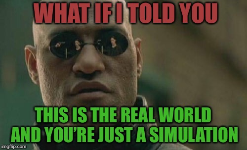 Reverse Matrix | WHAT IF I TOLD YOU; THIS IS THE REAL WORLD AND YOU’RE JUST A SIMULATION | image tagged in memes,matrix morpheus,tacos | made w/ Imgflip meme maker