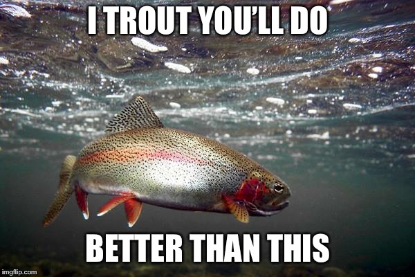 Trout | I TROUT YOU’LL DO; BETTER THAN THIS | image tagged in trout | made w/ Imgflip meme maker