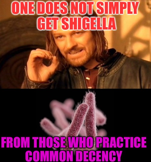 Shigella To You | ONE DOES NOT SIMPLY GET SHIGELLA; FROM THOSE WHO PRACTICE COMMON DECENCY | image tagged in shit,disease,stds,chipotle,food,california | made w/ Imgflip meme maker