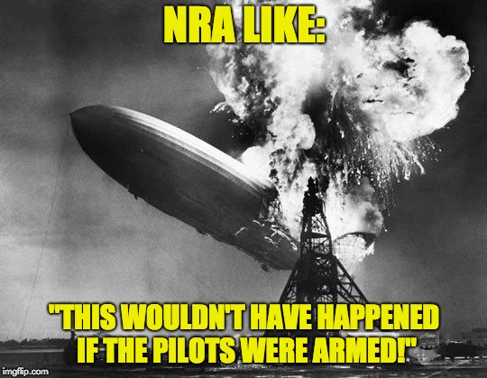 Hindenburg | NRA LIKE:; "THIS WOULDN'T HAVE HAPPENED IF THE PILOTS WERE ARMED!" | image tagged in hindenburg,gun control,nra,march for our lives | made w/ Imgflip meme maker