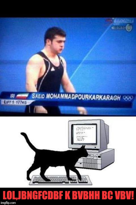 And the winner goes to....hfbdxbhv ghey hnbvvcvf | LOL,JBNGFCDBF K BVBHH BC VBV! | image tagged in memes,funny,dank,olympics,cat | made w/ Imgflip meme maker
