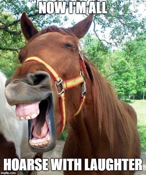 Laughing Horse | NOW I'M ALL HOARSE WITH LAUGHTER | image tagged in laughing horse | made w/ Imgflip meme maker
