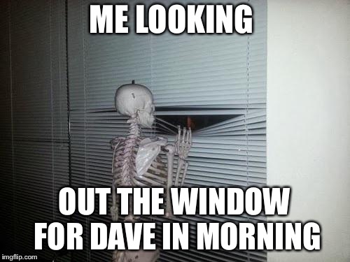 Skeleton Looking Out Window | ME LOOKING; OUT THE WINDOW FOR DAVE IN MORNING | image tagged in skeleton looking out window | made w/ Imgflip meme maker