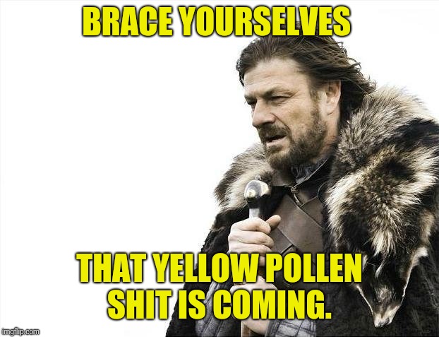 Brace Yourselves X is Coming Meme | BRACE YOURSELVES; THAT YELLOW POLLEN SHIT IS COMING. | image tagged in memes,brace yourselves x is coming | made w/ Imgflip meme maker