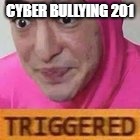 Triggered | CYBER BULLYING 201 | image tagged in triggered | made w/ Imgflip meme maker