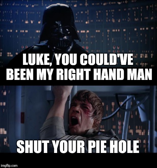 Star Wars No Meme | LUKE, YOU COULD'VE BEEN MY RIGHT HAND MAN; SHUT YOUR PIE HOLE | image tagged in memes,star wars no | made w/ Imgflip meme maker