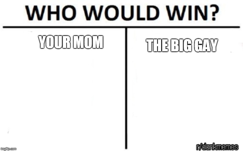 who would win | YOUR MOM; THE BIG GAY | image tagged in who would win | made w/ Imgflip meme maker