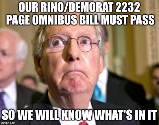 mitch mcconnell | OUR RINO/DEMORAT 2232 PAGE OMNIBUS BILL MUST PASS; SO WE WILL KNOW WHAT'S IN IT | image tagged in mitch mcconnell | made w/ Imgflip meme maker