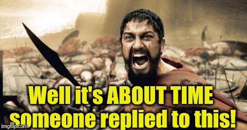 Sparta Leonidas Meme | Well it's ABOUT TIME someone replied to this! | image tagged in memes,sparta leonidas | made w/ Imgflip meme maker