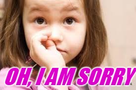 OH, I AM SORRY | made w/ Imgflip meme maker