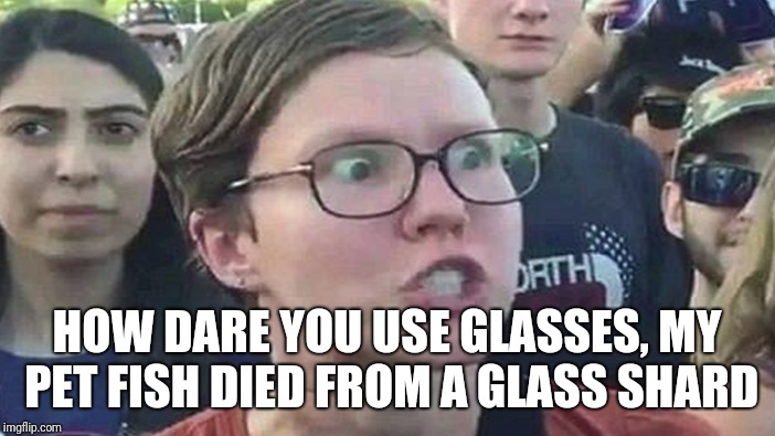 HOW DARE YOU USE GLASSES, MY PET FISH DIED FROM A GLASS SHARD | made w/ Imgflip meme maker