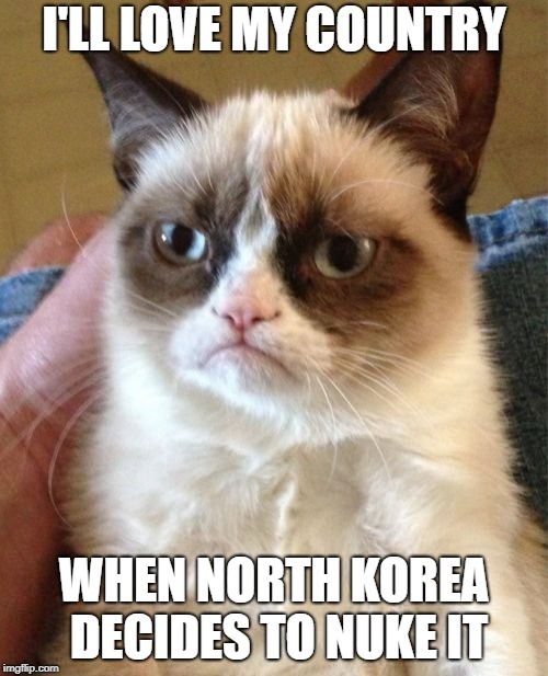 Grumpy Cat Meme | I'LL LOVE MY COUNTRY; WHEN NORTH KOREA DECIDES TO NUKE IT | image tagged in memes,grumpy cat | made w/ Imgflip meme maker