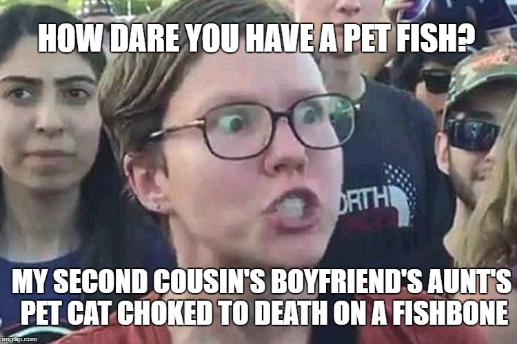 HOW DARE YOU HAVE A PET FISH? MY SECOND COUSIN'S BOYFRIEND'S AUNT'S PET CAT CHOKED TO DEATH ON A FISHBONE | made w/ Imgflip meme maker