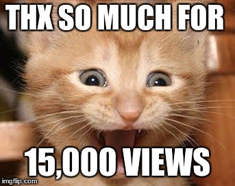 Excited Cat Meme | THX SO MUCH FOR; 15,000 VIEWS | image tagged in memes,excited cat | made w/ Imgflip meme maker
