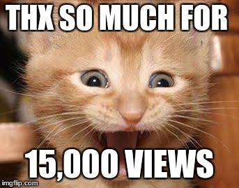 Excited Cat | THX SO MUCH FOR; 15,000 VIEWS | image tagged in memes,excited cat | made w/ Imgflip meme maker