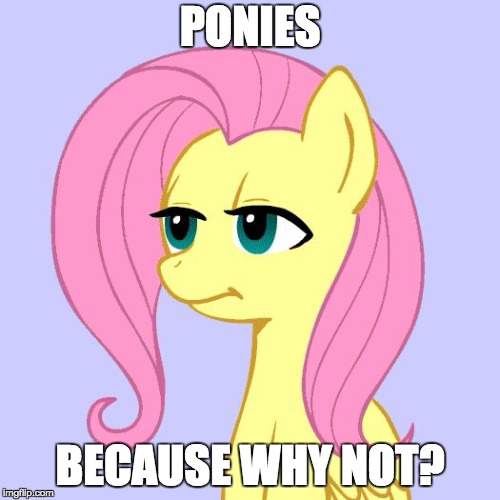 Ponies | PONIES; BECAUSE WHY NOT? | image tagged in memes,ponies,fluttershy | made w/ Imgflip meme maker