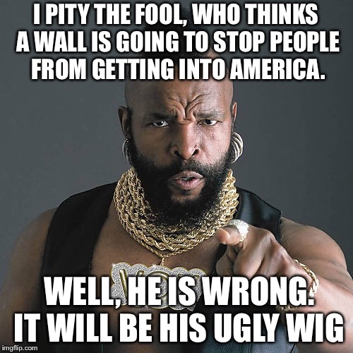 Mr T Pity The Fool Meme | I PITY THE FOOL, WHO THINKS A WALL IS GOING TO STOP PEOPLE FROM GETTING INTO AMERICA. WELL, HE IS WRONG. IT WILL BE HIS UGLY WIG | image tagged in memes,mr t pity the fool | made w/ Imgflip meme maker