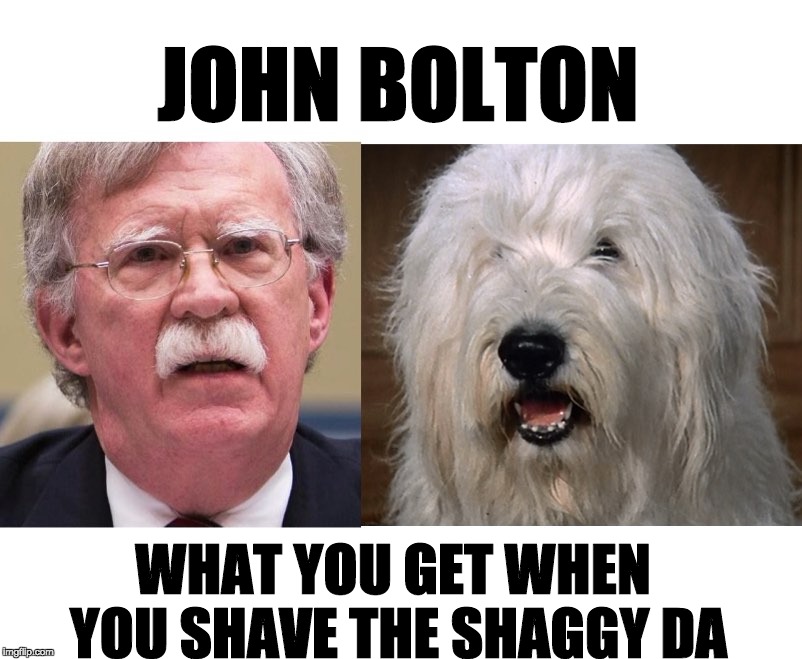 John Bolton = Shaggy DA | JOHN BOLTON; WHAT YOU GET WHEN YOU SHAVE THE SHAGGY DA | image tagged in john bolton,daily show,jon stewart | made w/ Imgflip meme maker