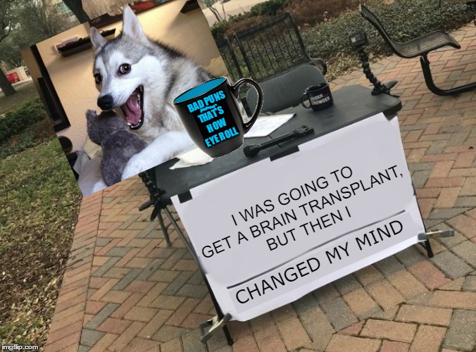 I quickly hit the Submit button on this one, before I changed my mind | BAD PUNS; THAT'S HOW EYE ROLL; I WAS GOING TO GET A BRAIN TRANSPLANT, BUT THEN I; CHANGED MY MIND | image tagged in change my mind crowder,memes,dank,bad pun dog,memestrocity,take that anna kendrick | made w/ Imgflip meme maker