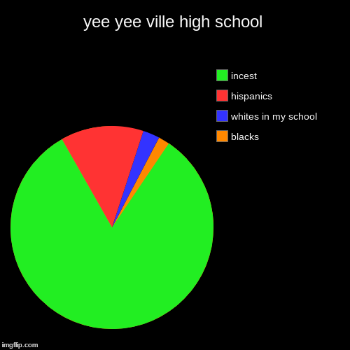 yee yee ville high school | blacks, whites in my school, hispanics, incest | image tagged in funny,pie charts | made w/ Imgflip chart maker