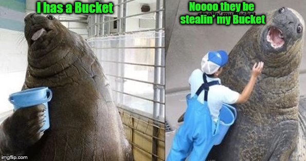 Who remembers this one? Dead Memes Week! A SilicaSandwhich & thecoffeemaster Event March 23-29 | Noooo they be stealin' my Bucket; I has a Bucket | image tagged in dead memes week | made w/ Imgflip meme maker